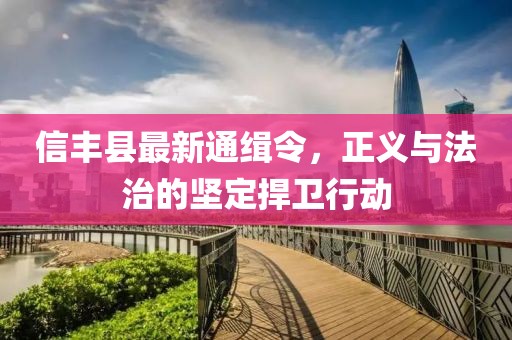 信豐縣最新通緝令，正義與法治的堅(jiān)定捍衛(wèi)行動(dòng)