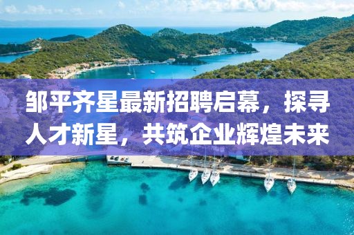 鄒平齊星最新招聘啟幕，探尋人才新星，共筑企業(yè)輝煌未來