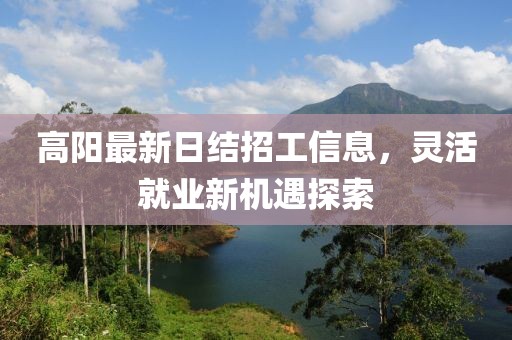 高陽最新日結(jié)招工信息，靈活就業(yè)新機遇探索