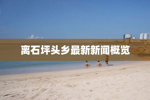 離石坪頭鄉(xiāng)最新新聞概覽