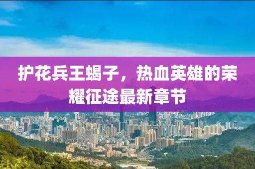 護花兵王蝎子，熱血英雄的榮耀征途最新章節(jié)
