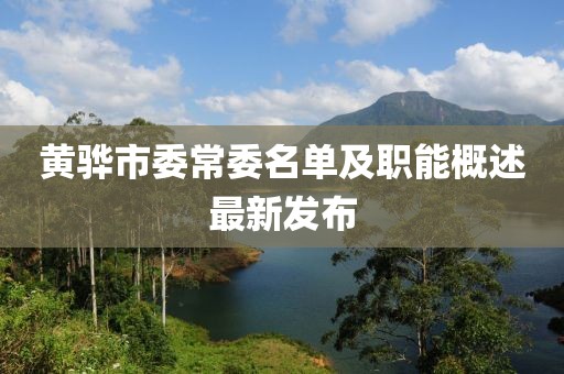 黃驊市委常委名單及職能概述最新發(fā)布
