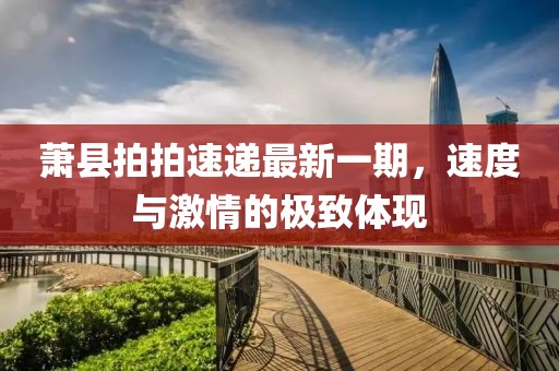 蕭縣拍拍速遞最新一期，速度與激情的極致體現(xiàn)