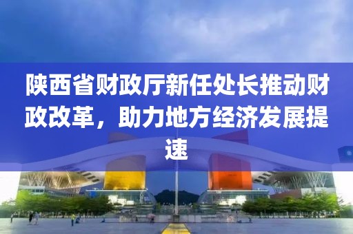 陜西省財(cái)政廳新任處長推動(dòng)財(cái)政改革，助力地方經(jīng)濟(jì)發(fā)展提速