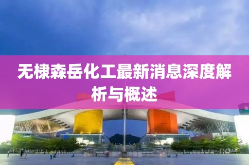 無棣森岳化工最新消息深度解析與概述
