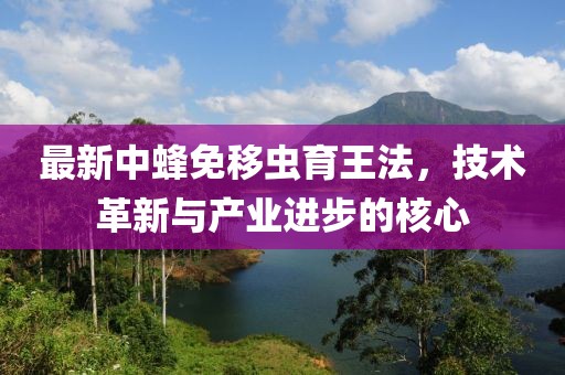 最新中蜂免移蟲(chóng)育王法，技術(shù)革新與產(chǎn)業(yè)進(jìn)步的核心
