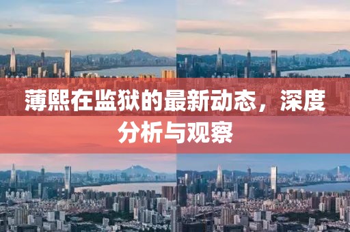 薄熙在監(jiān)獄的最新動態(tài)，深度分析與觀察