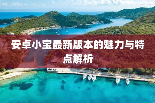 安卓小寶最新版本的魅力與特點(diǎn)解析