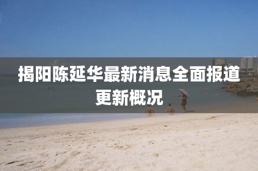 揭陽陳延華最新消息全面報道更新概況