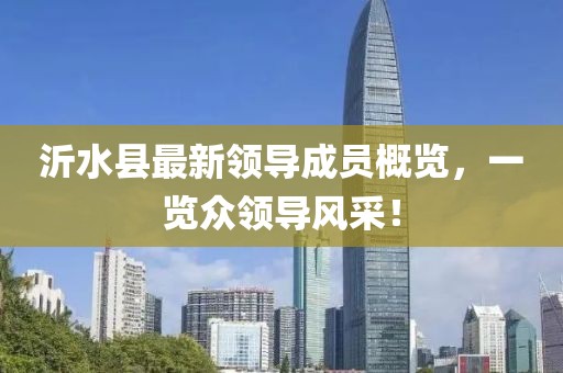 沂水縣最新領(lǐng)導(dǎo)成員概覽，一覽眾領(lǐng)導(dǎo)風(fēng)采！
