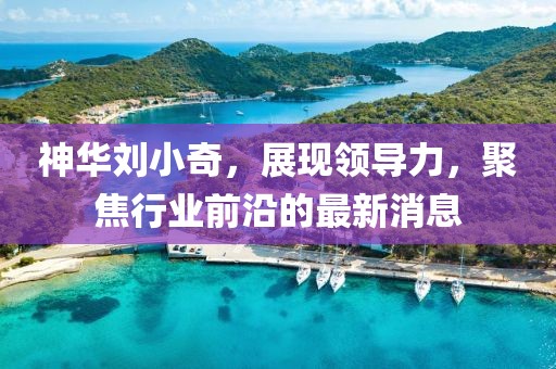 神華劉小奇，展現(xiàn)領(lǐng)導力，聚焦行業(yè)前沿的最新消息