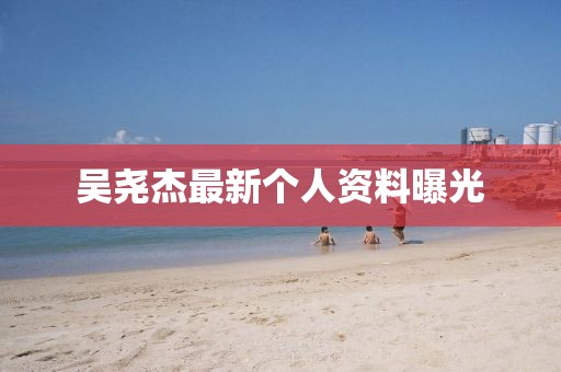 吳堯杰最新個(gè)人資料曝光