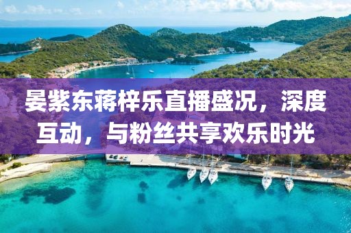 晏紫東蔣梓樂直播盛況，深度互動，與粉絲共享歡樂時光