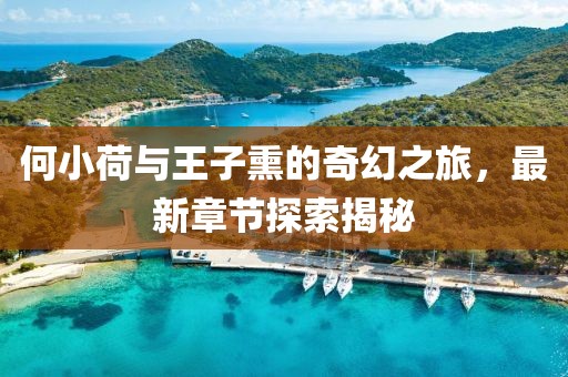 何小荷與王子熏的奇幻之旅，最新章節(jié)探索揭秘