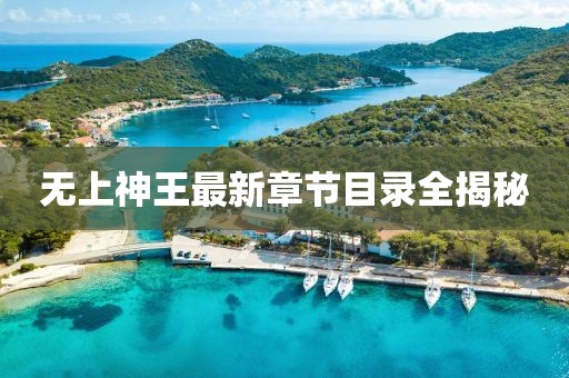 無上神王最新章節(jié)目錄全揭秘