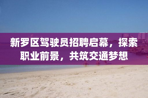 新羅區(qū)駕駛員招聘啟幕，探索職業(yè)前景，共筑交通夢想