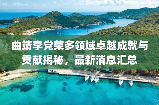 曲靖李黨榮多領(lǐng)域卓越成就與貢獻(xiàn)揭秘，最新消息匯總