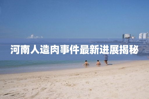 河南人造肉事件最新進(jìn)展揭秘