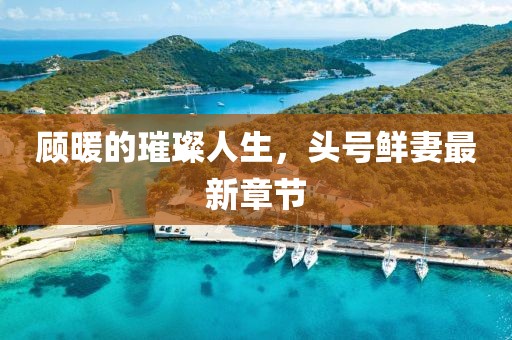 顧暖的璀璨人生，頭號(hào)鮮妻最新章節(jié)