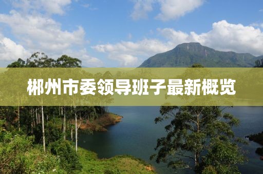 郴州市委領導班子最新概覽
