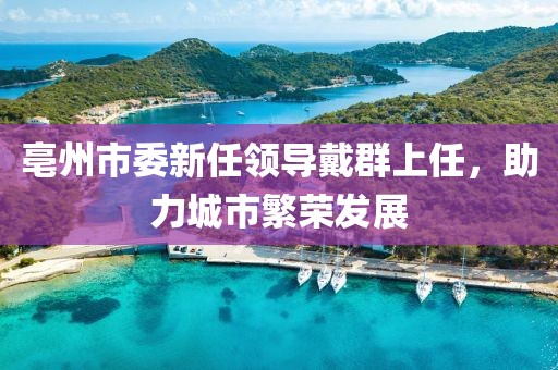 亳州市委新任領(lǐng)導(dǎo)戴群上任，助力城市繁榮發(fā)展