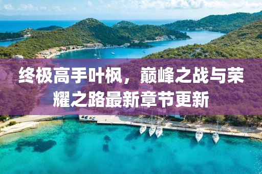 終極高手葉楓，巔峰之戰(zhàn)與榮耀之路最新章節(jié)更新