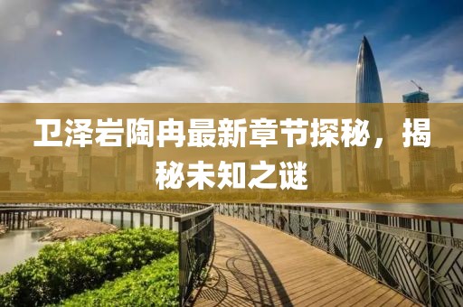 衛(wèi)澤巖陶冉最新章節(jié)探秘，揭秘未知之謎