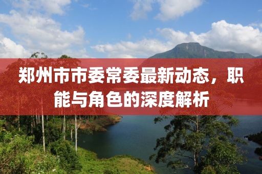 鄭州市市委常委最新動態(tài)，職能與角色的深度解析