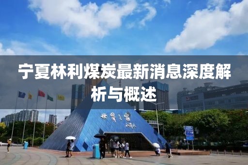 寧夏林利煤炭最新消息深度解析與概述