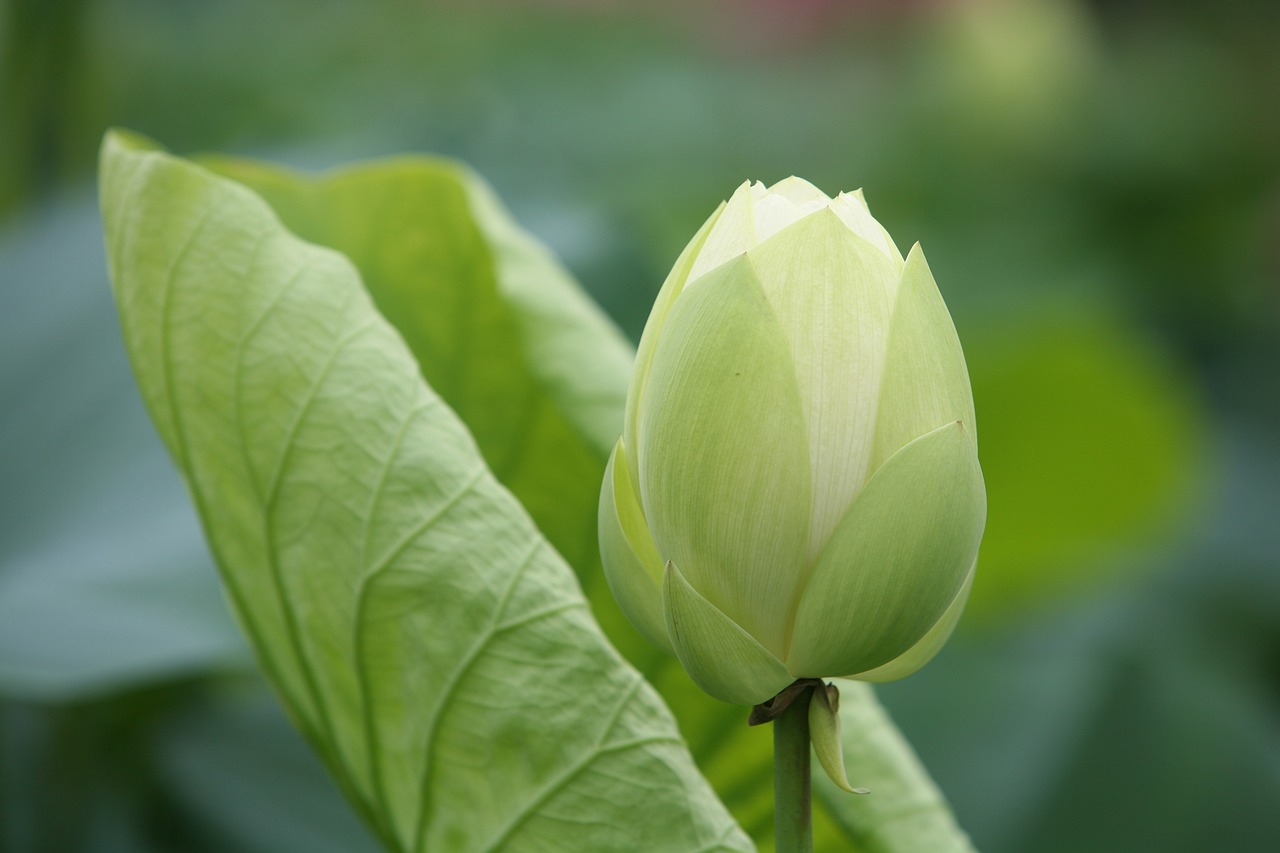 大地傳媒重組最新動態(tài)，重塑傳媒產(chǎn)業(yè)格局取得重大進(jìn)展