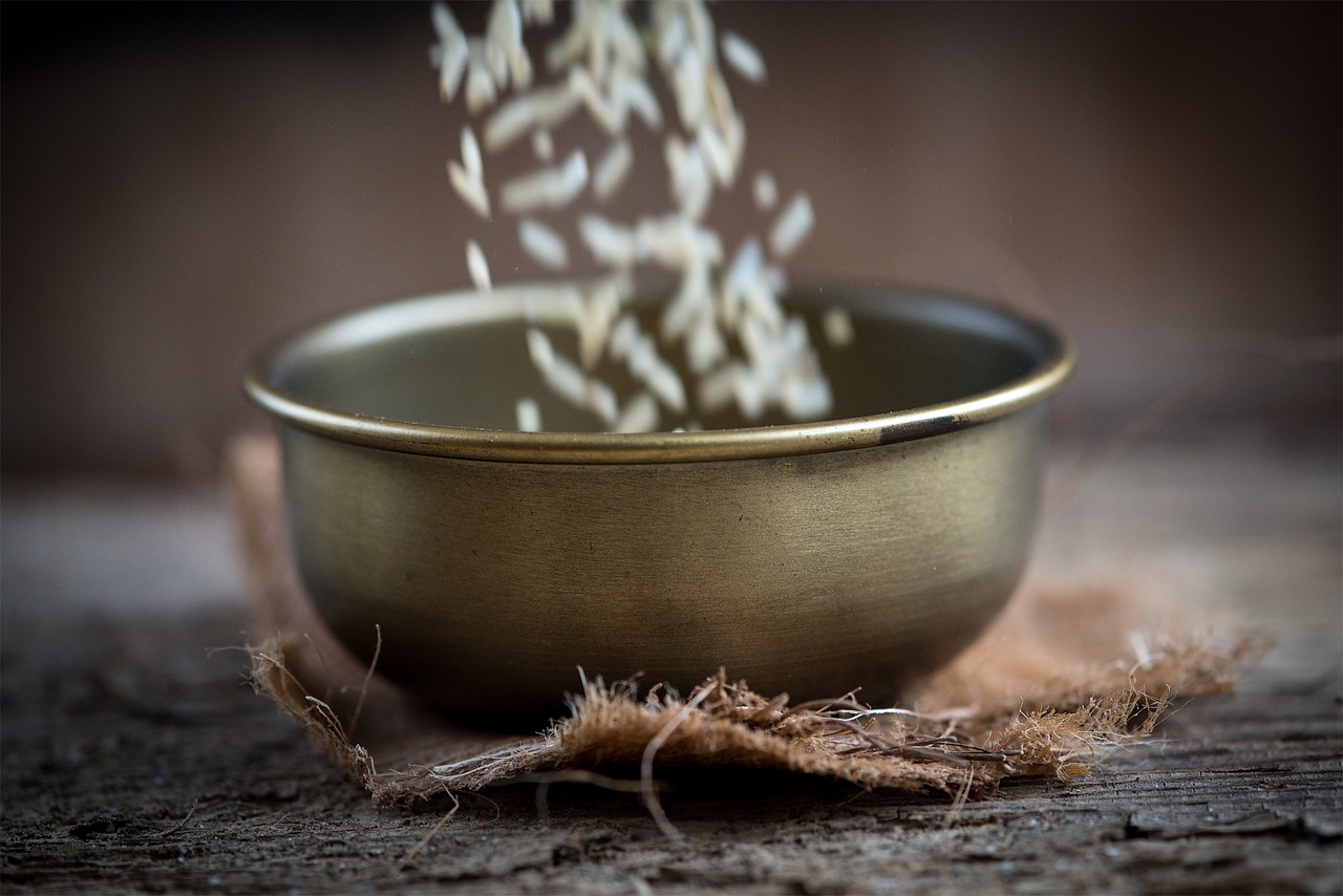 王樹(shù)勤在承德，最新發(fā)展動(dòng)態(tài)及消息解讀