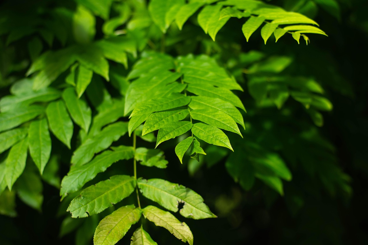 北海水印泉山最新動(dòng)態(tài)，城市發(fā)展與綠色生態(tài)的和諧共鳴