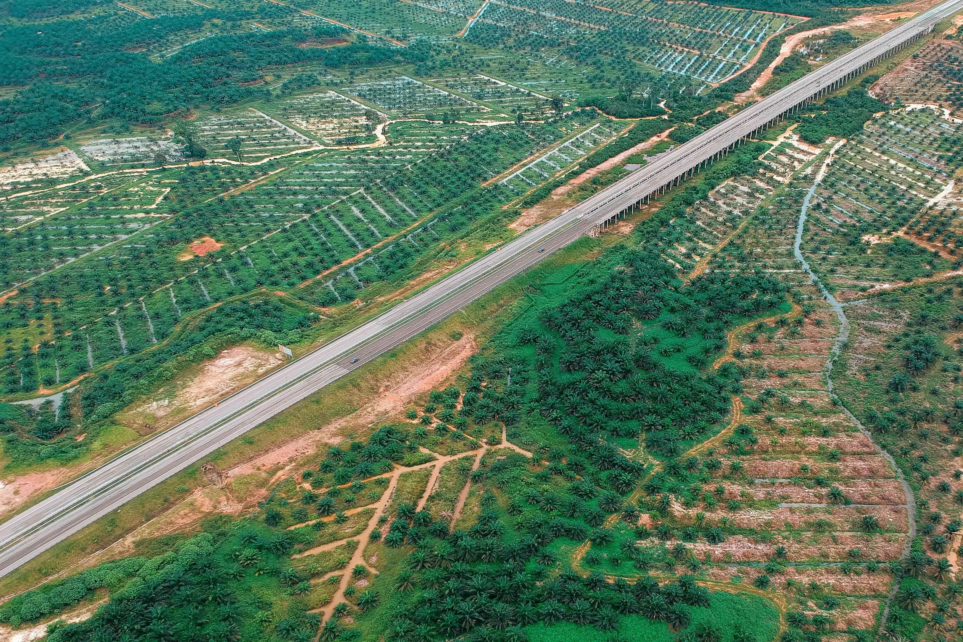 興富高速公路最新進(jìn)展報(bào)告更新，建設(shè)進(jìn)度一覽