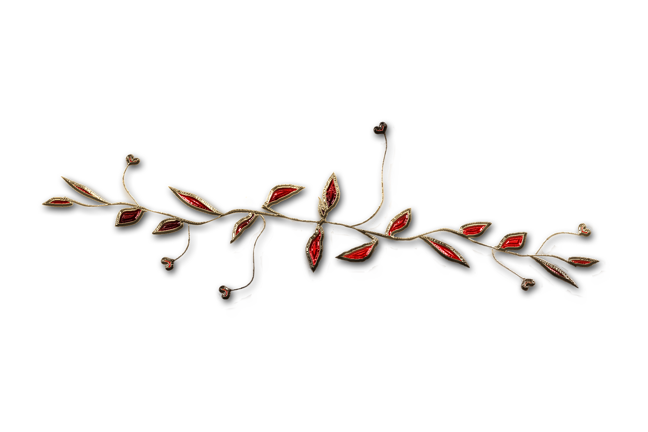 廣西大紅八角產(chǎn)業(yè)蓬勃發(fā)展，前景廣闊，最新消息與動態(tài)